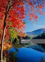 gettyimages-450411-001-1024x1024.webp