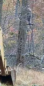 DSCF0002.webp