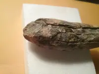 20181001_180618.webp 20181001_180618.webp