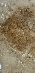 20181201_072119.webp