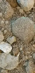 20181201_073504.webp