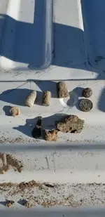 20181201_082423.webp