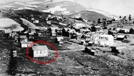 caribou 1869.webp