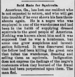 rats for squirrels 1891.jpg