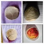 collage2.webp