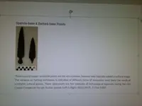 copper spear info.webp