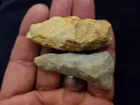 20181021_085930.webp