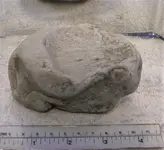 Frog Bowl.webp