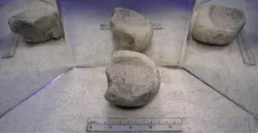Frog Bowl1.webp