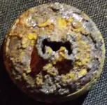 DSCF6209 (2).webp
