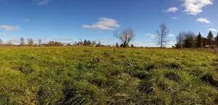 WP_20181030_14_20_49_Panorama.webp