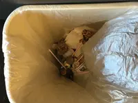 waste basket coins.webp