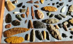 20181118_100535(1).webp