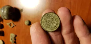 20181130_192509.webp