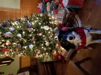 20181215_211544_1545260213766.webp