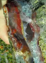 20181210_105241-1~2.webp