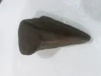 20181211_173117.webp