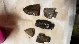 20181021_181032.webp