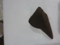20181211_173152.webp