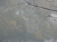 DSCN2365.webp