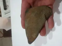 20181211_173336.webp