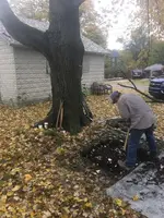 ImageUploadedByTreasureNet.com1541119028.469858.webp