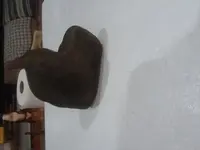 20181211_173907.webp