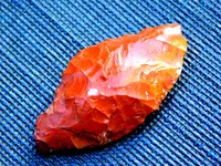DSCN1300.webp