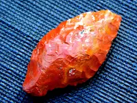 DSCN1302.webp
