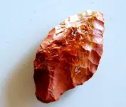 DSCN1311.webp