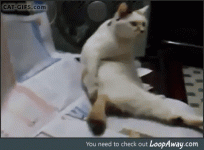 45980713105c15e92eb7c237cc4b8353.gif