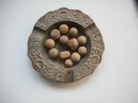 DSCN1487.webp