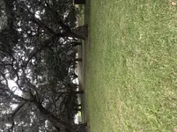 2C1D111C-3229-4442-B71F-61CFECEBE1A3.webp