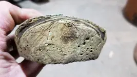 20181211_191355.webp