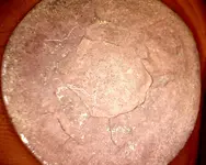 pic0004.webp