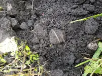 20181109_082445.webp