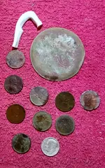 Treasure.webp