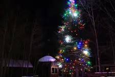 12-12dd.webp