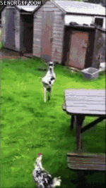 giphy (2).gif giphy (2).gif