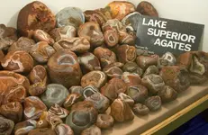lake_superior_agates2.webp