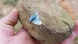 20181212_144845.webp