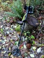 IMG_20181212_075933.webp
