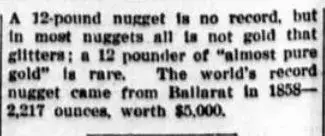 nugget 2.webp