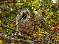 DSCN2332.webp