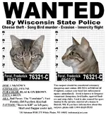 freddyferal.webp