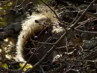 DSCN2338.webp
