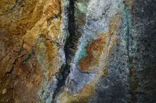 clipper_mine (1).jpg