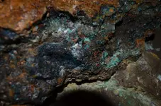 clipper_mine (2).jpg