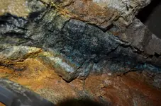 clipper_mine (15).jpg