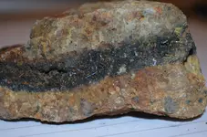 clipper_mine (13).jpg